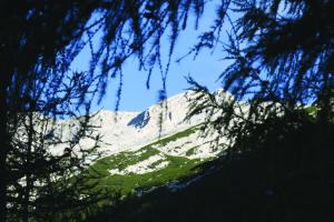 a snow covered mountain with trees in the foreground at Hotel Hvala Superior - Topli Val in Kobarid