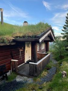 a cabin with a grass roof with a deck at Cozy, Magical Mountain Cabin With Trails in Etnedal