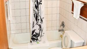 a bathroom with a toilet and a shower curtain at Magnuson Hotel Extended Stay Canton Ohio in Lake Cable +50 photos