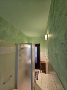 a bathroom with a shower with a person in it at Eco Mountain Green House in Bienno +40 photos