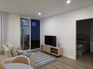 a living room with a couch and a television at Costa Nova Azul in Gafanha da Encarnação