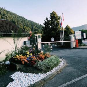 a flower garden in front of a gas station at Chalet 4 étoiles - Piscine - ccbg00h in Celles-sur-Plaine +12 photos
