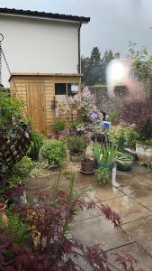 a garden with a bunch of plants and flowers at Retreat for Two in Shepton Mallet