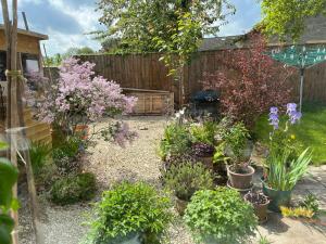 a garden with flowers and plants in front of a fence at Retreat for Two in Shepton Mallet