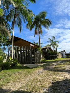 a wooden building with palm trees in front of it at Pousada Rural João De Barro 1 in Capela Ivapurunduva