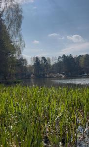a field of grass with a river in the background at Nad Zalewem - pokoje przy plaży in Kobyla Góra