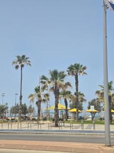 ein Park mit Palmen, Tischen und gelben Sonnenschirmen in der Unterkunft הסוויטה בטיילת in Aschdod