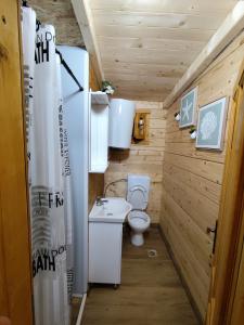 a small bathroom with a toilet and a sink at Brvnara Nido in Cetinje