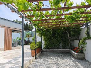 a pergola over a patio with plants at Sunnyside cottage Bilgah in Bilgah