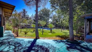 a view of a yard with trees and a pool at Hostel Lemon Tree in Ciudad Lujan de Cuyo