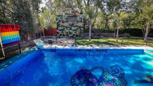 a pool with an octopus painted on it at Hostel Lemon Tree in Ciudad Lujan de Cuyo