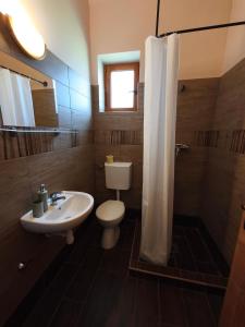 a bathroom with a toilet and a sink and a shower at Vili Vendégház in Demjén