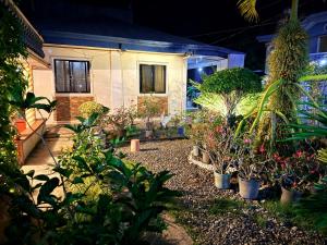 a garden with plants in front of a house at Romar's Place Roxas Orientl, Mindoro in Roxas +13 photos