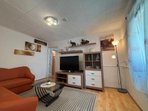a living room with a couch and a television at Kuća BORNA in Crikvenica +25 photos