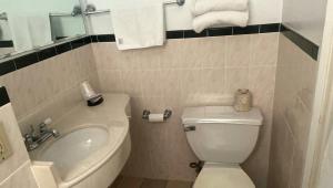 a bathroom with a toilet and a tub and a sink at Pleasant Valley Motel West Stockbridge in West Stockbridge +19 photos