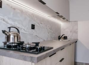 a kitchen with a stove and a sink at U Bochniaka in Czorsztyn