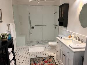 a bathroom with a shower and a toilet and a sink at Cozy Luxury Cottage in Alachua