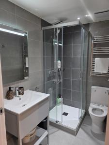 a bathroom with a shower and a sink and a toilet at Brand New - Studio Apartment - Self Catering in Gibraltar