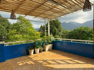 a balcony with potted plants and a blue wall at Côn Đảo Home in Con Dao