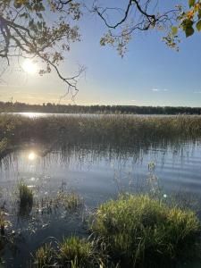 Blick auf einen See bei Sonnenuntergang in der Unterkunft Kloster Gård - Cabins & apartments near Astrid Lindgrens World in Hultsfred + 32 Fotos