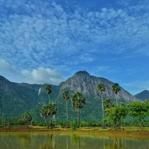 a mountain with palm trees in front of a body of water at Athira Homestay in Kollengode