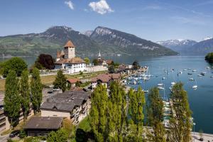an aerial view of a town on a lake with boats at Buchtoase in Spiez
