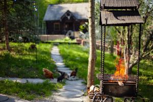 a group of chickens walking down a path with a fire at El Rancho De Stayki in Stayki