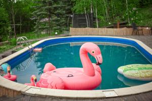 a pool with a pink inflatable flamingo in the water at El Rancho De Stayki in Stayki +40 photos