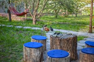 a table and stools sitting on tree stumps in a park at El Rancho De Stayki in Stayki