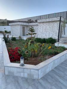 a garden with a small tree and flowers at Olives Hill Farm in Al Kufayr