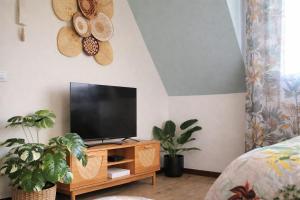 a living room with a tv on a table with two plants at L'Atelier de Tropique in Saverne