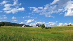 a green field with two houses in the distance at Chata Zbója - Sidzina in Sidzina