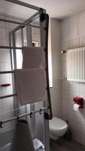 a bathroom with a toilet and a towel rack at Büdingen-Ferienwohnung Bausch in Büdingen