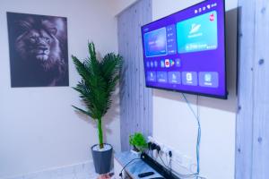 a tv hanging on a wall with a plant at Benson waweru APPARTMENT in Kakamega