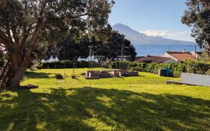 a park with a tree and a view of the water at OKTO Beach House in Praia do Almoxarife