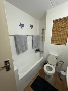 a bathroom with a toilet and a tub and a sink at Retro at The Vaal - entire Flat in Denysville