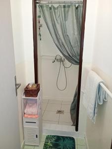 a bathroom with a shower with a shower curtain at Pearl of Danube in Chlʼaba