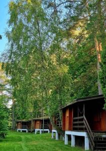 a log cabin with a staircase next to a tree at Domki Dębrzyno in Juszki