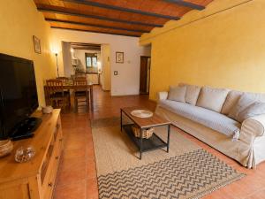 a living room with a couch and a table at Apartamentos Saltarel·lo in Besalú
