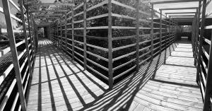 a wooden walkway with a fence and shadows on it at Villa F-GRÅ in Fårösund