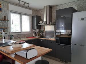 a kitchen with black cabinets and a white refrigerator at Le Logis du Grand-Duc in Brignac-la-Plaine