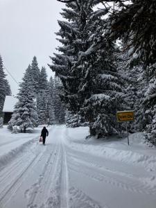 a person is walking down a snow covered road at Black Lake House Dajovic in Žabljak +5 photos