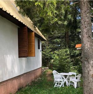 a table and chairs sitting outside of a house at Black Lake House Dajovic in Žabljak