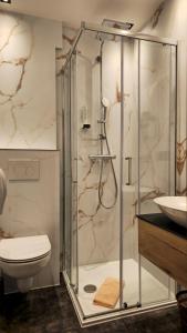 a bathroom with a shower with a toilet and a sink at Gasthof Gosausee in Gosau +40 photos