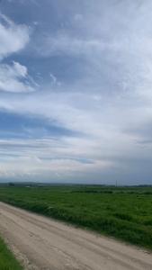 a dirt road in the middle of a green field at House near the mountains in Karakol