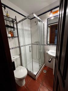 a bathroom with a shower and a toilet and a sink at Apartamentos Dos Aguas in Aguasmestas +30 photos