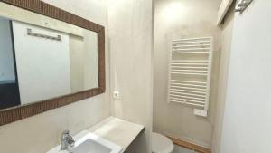 a bathroom with a sink and a mirror and a toilet at Le Duplex in Denicé +3 photos