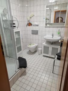 a bathroom with a shower and a toilet and a sink at Hotel Seerose Garni in Nohfelden +29 photos
