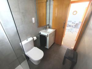 a small bathroom with a toilet and a sink at Seafront Sitges in Sitges +13 photos