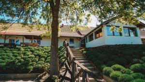 a house with a tree in front of a garden at Szabó Tanya Nyim in Nyim